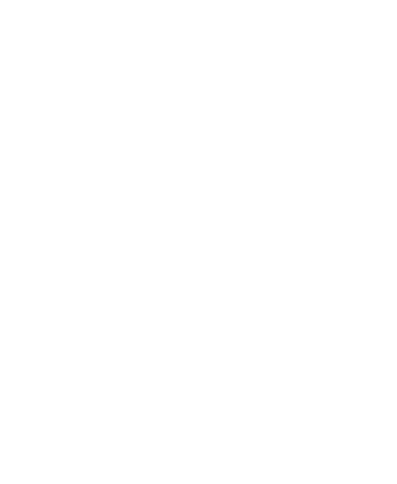 Logo Wyker Turnerbund